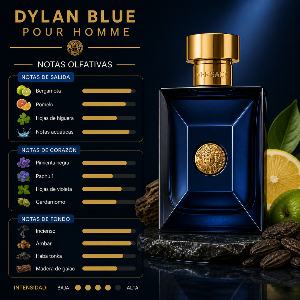 Dylan Blue Pour Homme 100ML (original)
